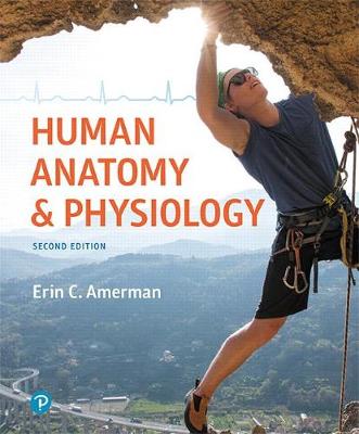 Book cover for Human Anatomy & Physiology Plus Mastering A&p with Pearson Etext -- Access Card Package