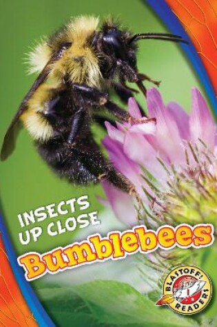 Cover of Bumblebees