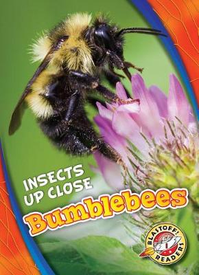 Book cover for Bumblebees