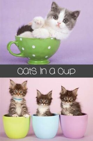 Cover of Cats in a Cup