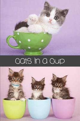 Book cover for Cats in a Cup