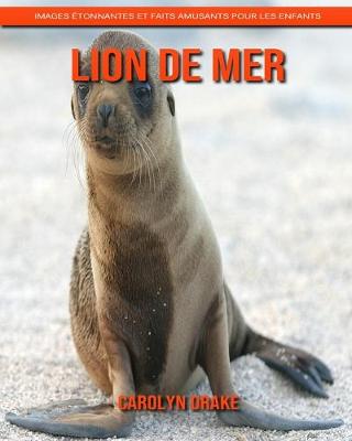 Book cover for Lion de Mer