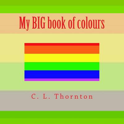 Book cover for My BIG book of colours