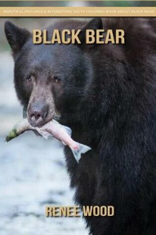 Cover of Black Bear