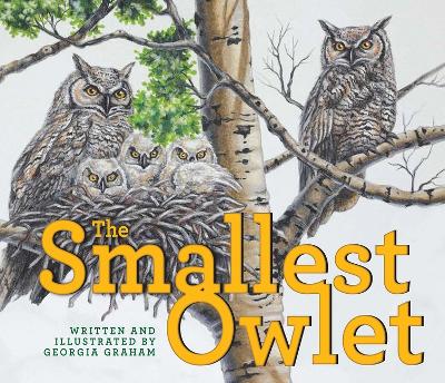 Book cover for The Smallest Owlet