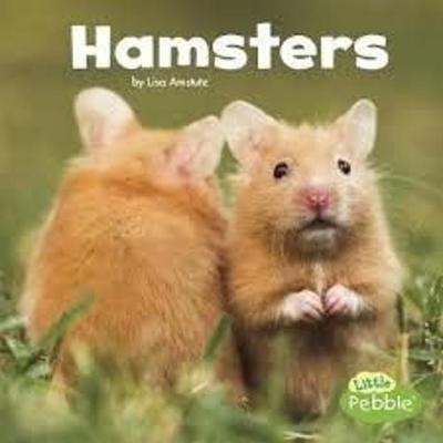 Book cover for Hamsters (Our Pets)