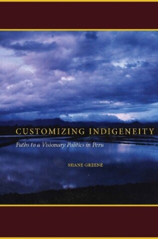 Cover of Customizing Indigeneity