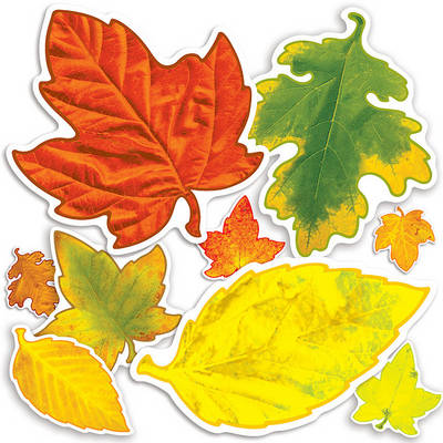 Cover of Autumn Leaves Accent Punch-Outs