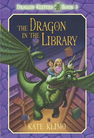 Book cover for The Dragon in the Library