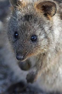 Book cover for The Quokka Portrait Journal