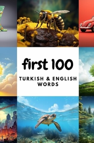 Cover of First 100 Turkish & English Words