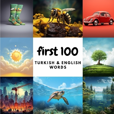 Cover of First 100 Turkish & English Words