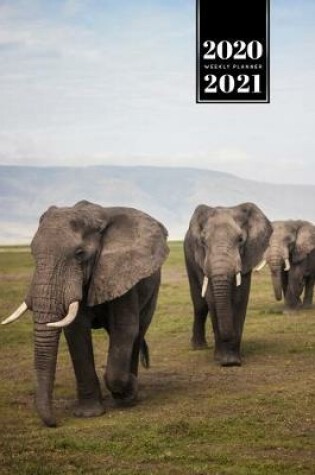 Cover of Elephant Mammoth Week Planner Weekly Organizer Calendar 2020 / 2021 - Three Friends