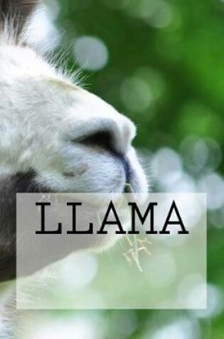 Cover of Llama