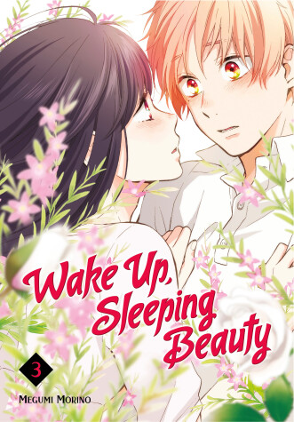 Cover of Wake Up, Sleeping Beauty 3