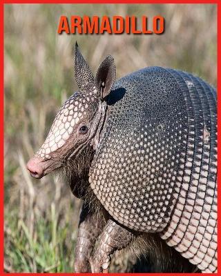 Book cover for Armadillo