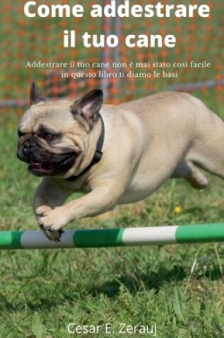 Cover of Come addestrare il tuo cane Addestrare il tuo cane non e mai stato cosi facile in questo libro ti diamo le basi