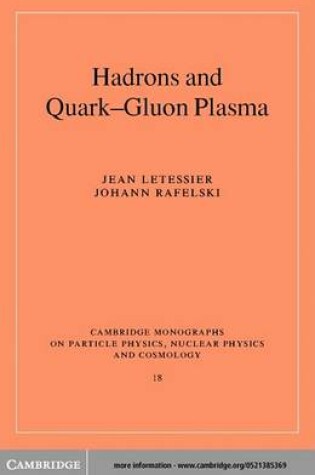 Cover of Hadrons and Quark–Gluon Plasma