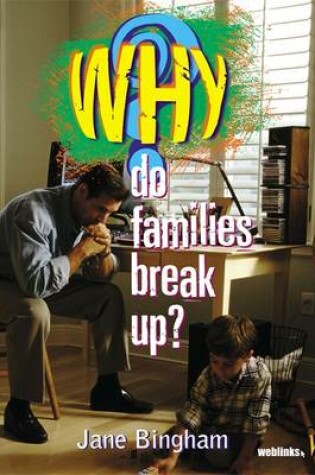 Cover of Why Do Families Break Up?
