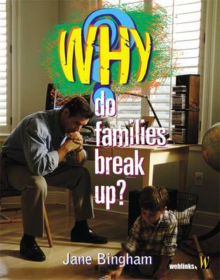 Book cover for Why Do Families Break Up?