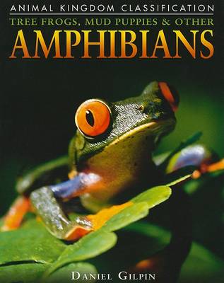 Cover of Tree Frogs, Mud Puppies & Other Amphibians