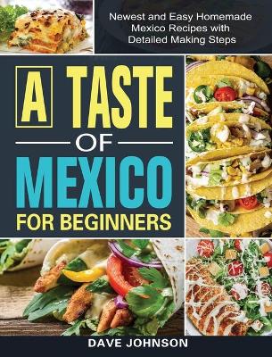 Book cover for A Taste of Mexico For Beginners