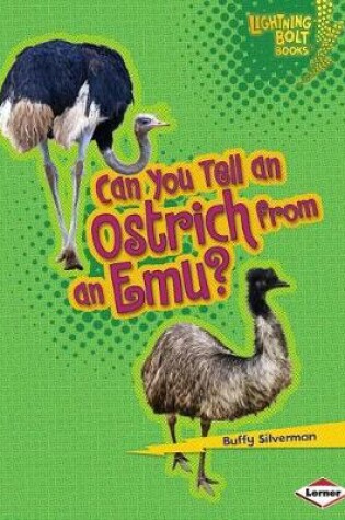 Cover of Can You Tell an Ostrich from an Emu