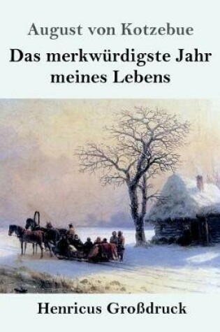 Cover of Das merkwürdigste Jahr meines Lebens (Großdruck)