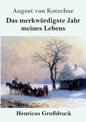 Book cover for Das merkwürdigste Jahr meines Lebens (Großdruck)