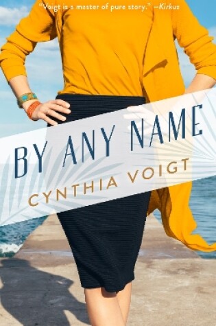 Cover of By Any Name