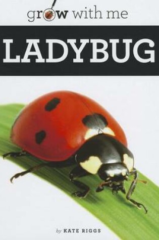 Cover of Ladybug