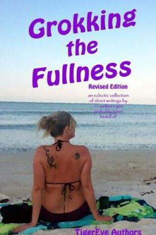 Cover of Grokking the Fullness - revised