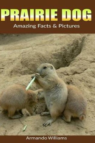 Cover of Prairie Dog