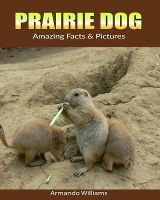 Book cover for Prairie Dog