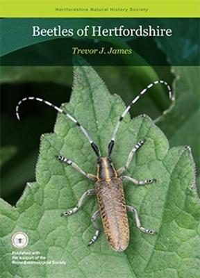 Book cover for Beetles of Hertfordshire