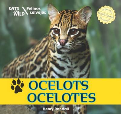 Book cover for Ocelots/Ocelotes