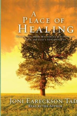 Cover of A Place of Healing