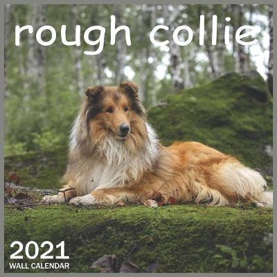 Book cover for Rough collie
