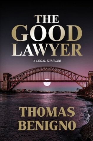 Cover of The Good Lawyer