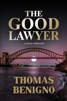 Book cover for The Good Lawyer