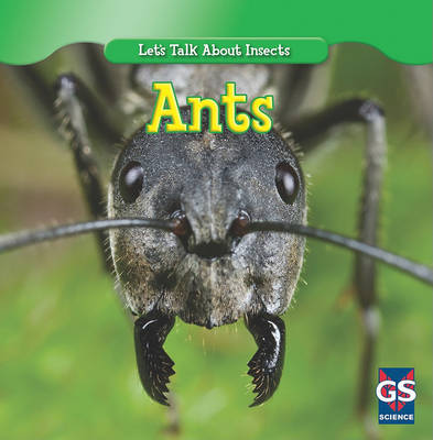 Book cover for Incredible Ants