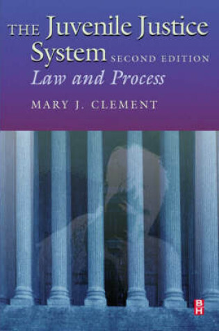 Cover of The Juvenile Justice System