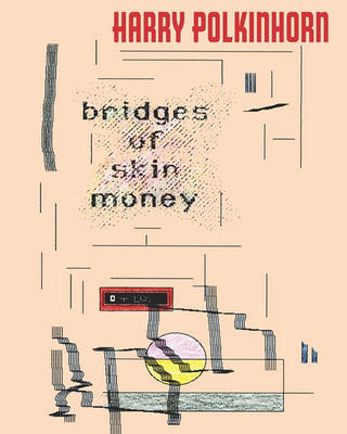 Book cover for Bridges Of Skin Money