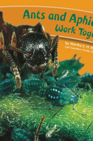 Cover of Ants and Aphids Work Together