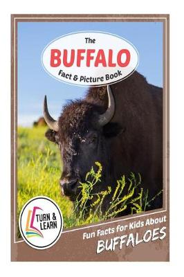 Book cover for The Buffalo Fact and Picture Book