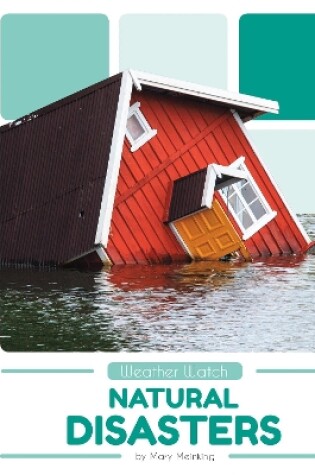 Cover of Natural Disasters