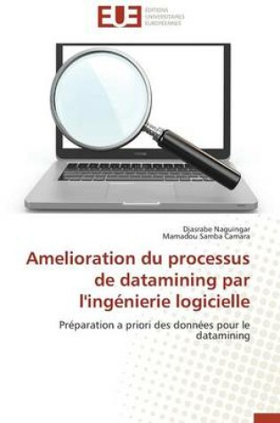 Cover of Amelioration Du Processus de Datamining Par l'Ing nierie Logicielle