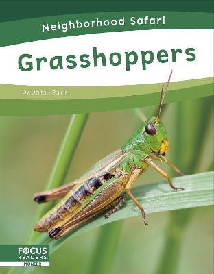 Book cover for Neighborhood Safari: Grasshoppers