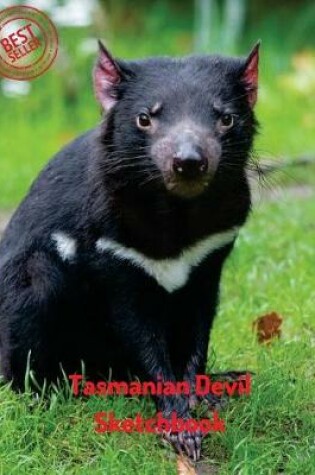 Cover of Tasmanian Devil Sketchbook
