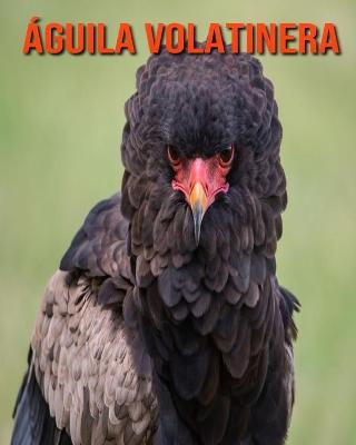 Book cover for Águila volatinera